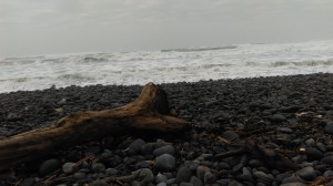 waves and driftwood at beach near 'atolan, october 2014. djh